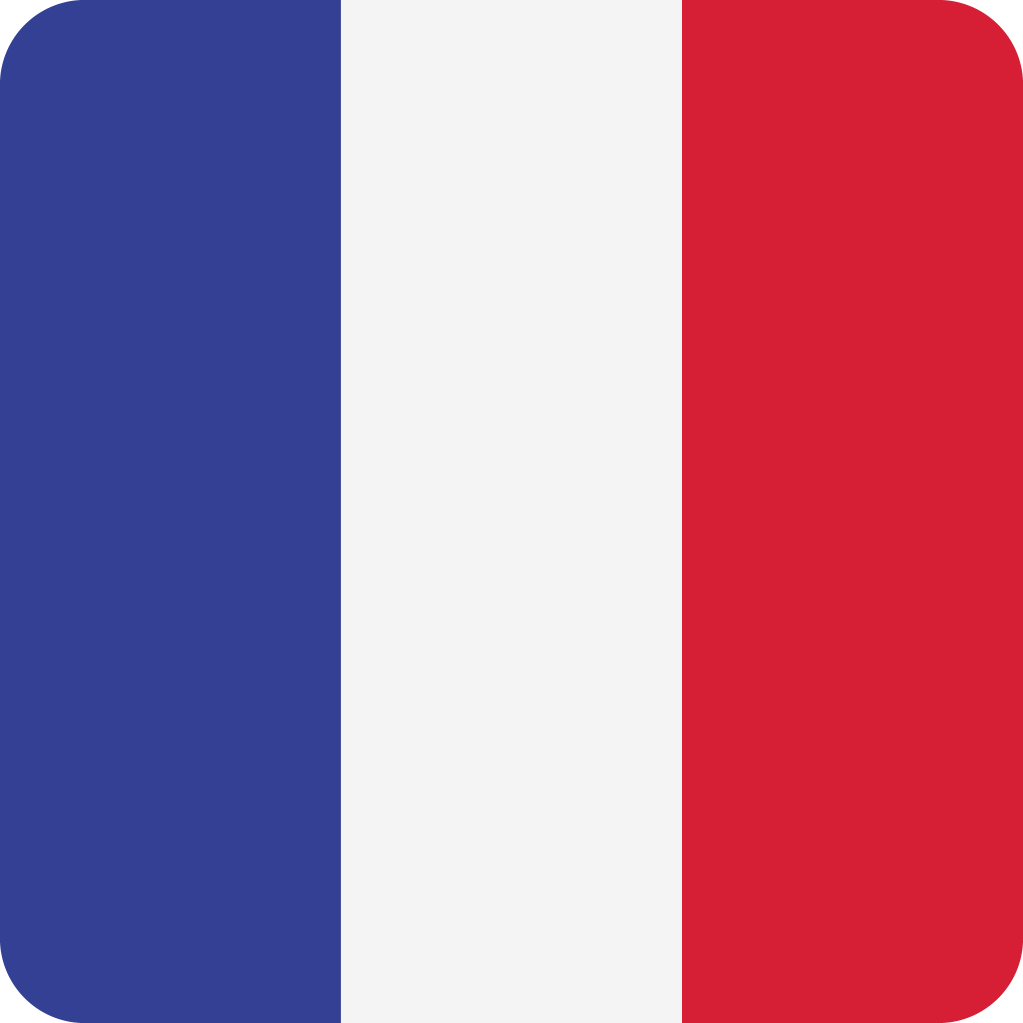 flag french